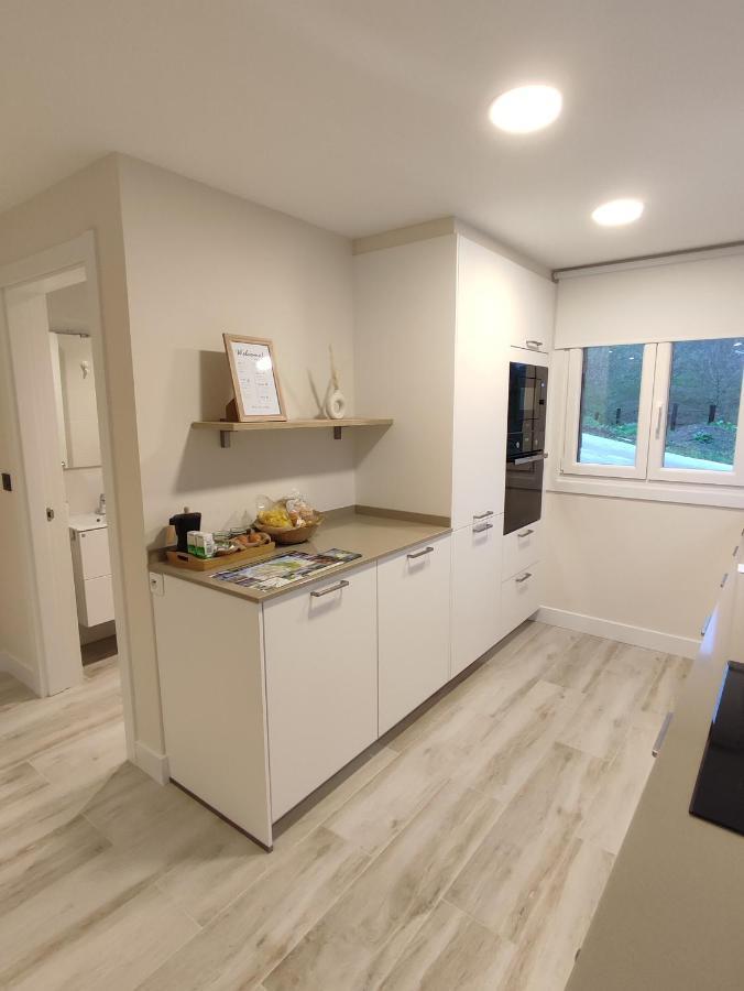 Etxezarre, En Ajangiz Apartment Ngoại thất bức ảnh
